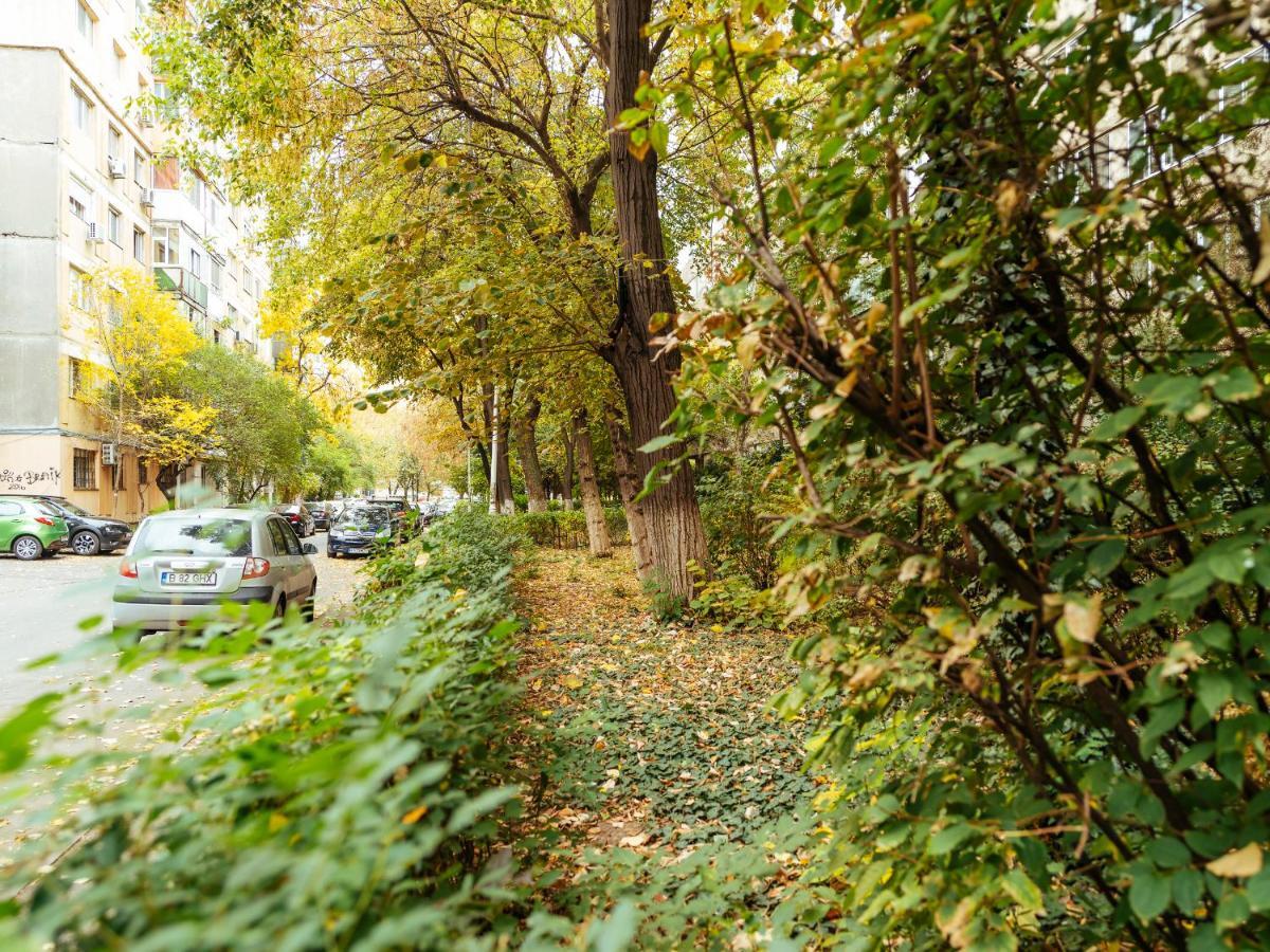 Woody - Cozy And Quiet Place Near Moghioros Park บูคาเรสต์ ภายนอก รูปภาพ